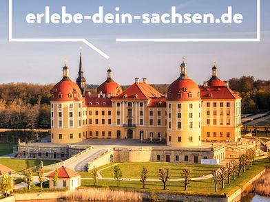 Ein großes gelbes Schloss mit vier Türmen befindet sich auf einer Insel. Das Schloss Moritzburg ist von Wasser umgeben. Eine Brücke führt zu dem Schloss und dem Park. Oben steht der Schriftzug "Erlebe dein Sachsen".