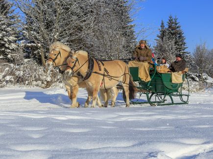 Besucher sitzen in einer Pferdekutsche, die von einem Kutscher gefahren wird. Sie sind unterwegs in der Winterlandschaft von Altenberg. 