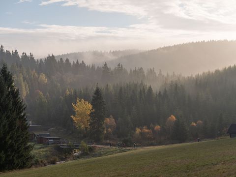 Eine Waldlandschaft mit den Bergen des Erzgebirges, davor fahren Biker auf der Blockline-Tour.