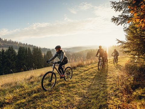 Eine Familie auf einem Weg im Wald mit den Rädern. Im Hintergrund geht die Sonne unter. Sie fahren auf der Blockline im Erzgebirge.