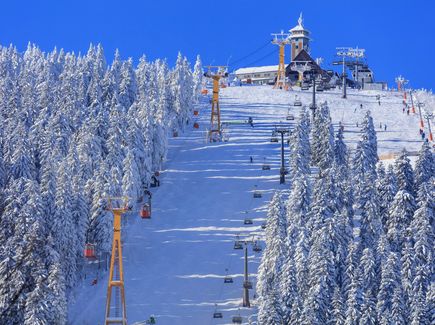 Eine Gondel, ein Sessellift und ein Schlepplift fahren zum Fichtelberg hinauf. Darunter verläuft eine Piste.