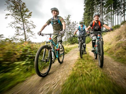 Drei Mountainbiker von vorn. Sie fahren bergab im Trailcenter Rabenberg.