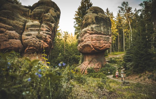 Kelchsteine entlang des Oberlausitzer Bergwegs